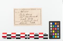 Foto von Bronzebogenfibel (NHMW-PRAE-048358)